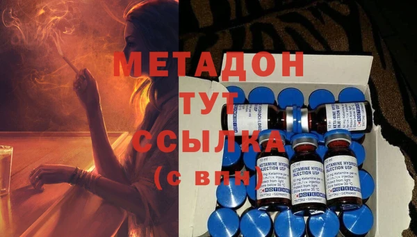 прущие грибы Алзамай