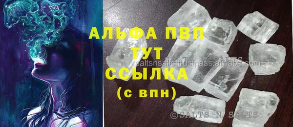 прущие грибы Алзамай
