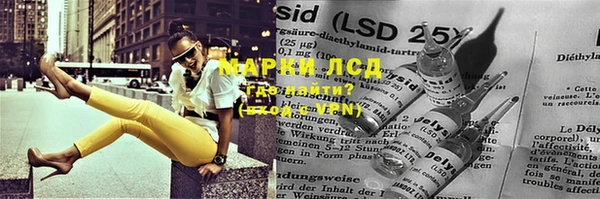 прущие грибы Алзамай