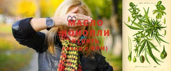 дмт Алексин