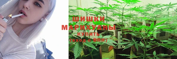 спайс Пересвет