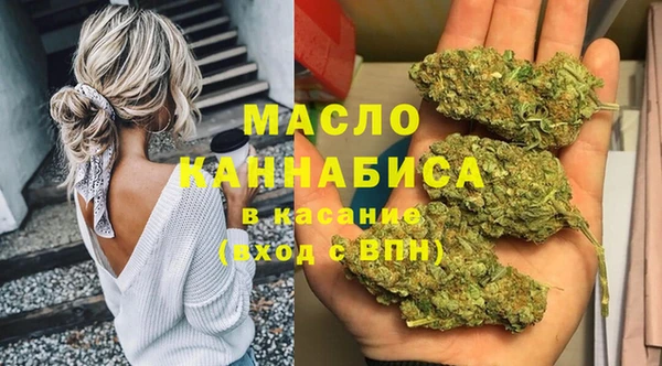 дмт Алексин