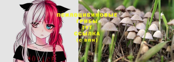 скорость Алексеевка
