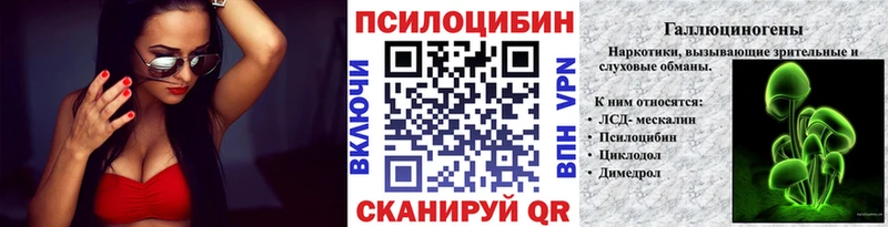 сколько стоит  Сорочинск  Галлюциногенные грибы Cubensis 